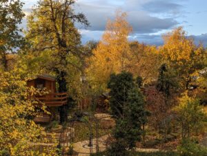 Gartenplanung, Schaugarten, Herbstlicher Garten