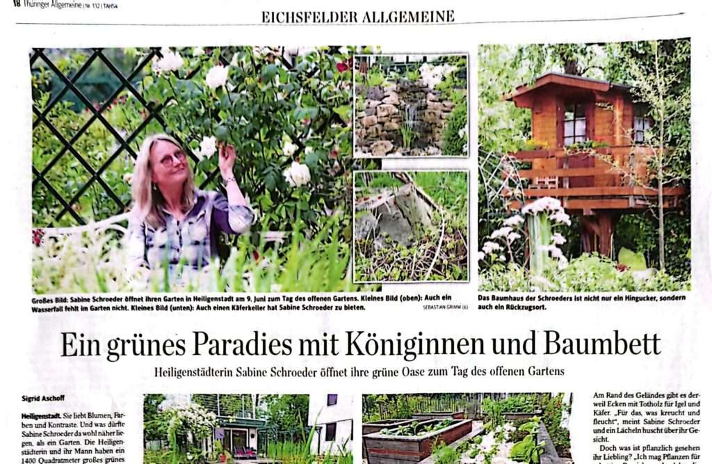 Zeitungsartikel Ausschnitt